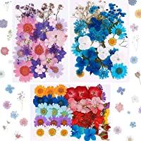 101 Piezas de Flores prensadas secas Reales Flores secas Naturales Flores secas de uñas Multicolores para Resina…